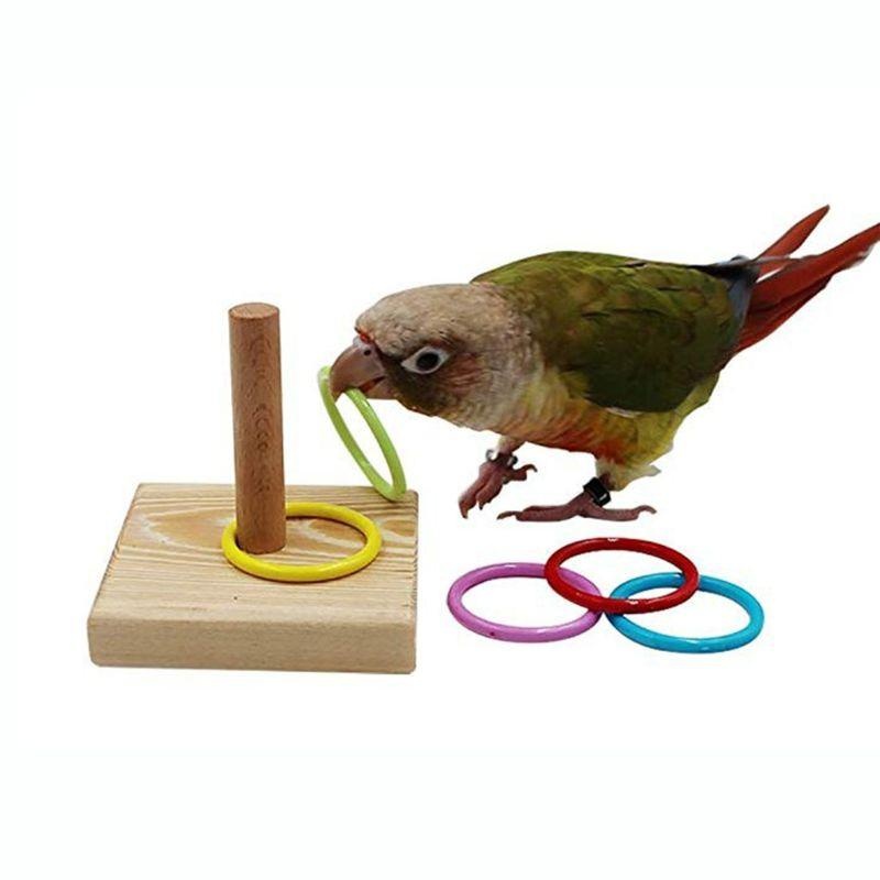 새 훈련 반지 장난감 앵무새 교육 장난감 훈련 대화 형 - Gymnastic Ring Wood 리뷰 및 가격